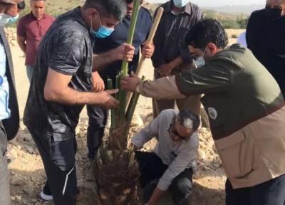 امور آبفا شهرستان های اوز و سپیدان اقدام به غرس درخت با نام شهدا نمودند