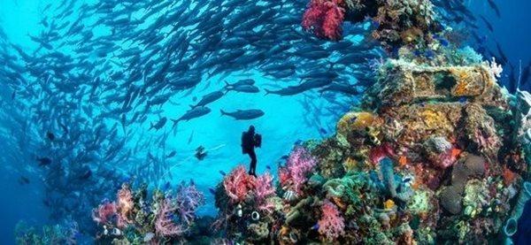 ایران معاون کنوانسیون 2001 حفاظت از میراث فرهنگی زیر آب یونسکو شد