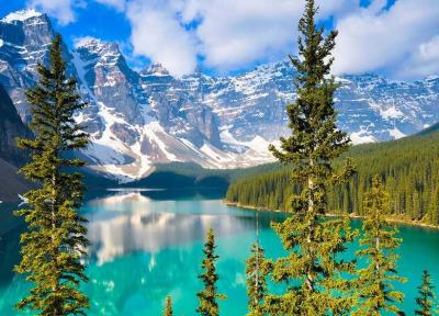 سفر به قلب طبیعت بکر: راهنمای کامل گشت و گذار در پارک های ملی کانادا