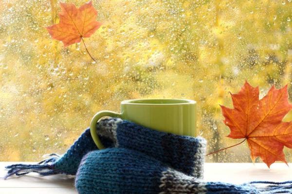 تماشا کنید: تجربه باران پاییزی دیدن کنید: تجربه باران پاییزی